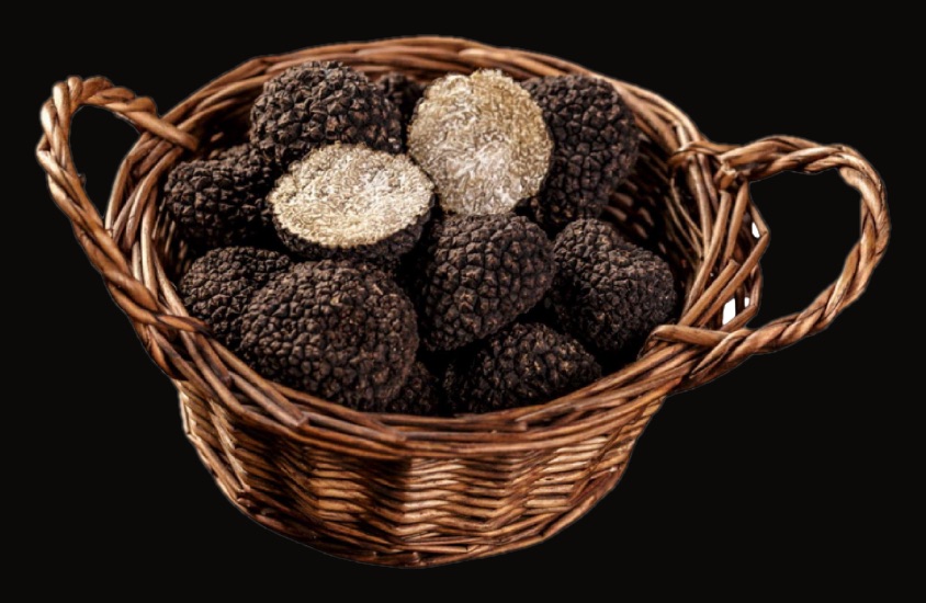 Panier de truffes fraîches